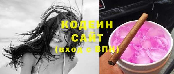 индика Балабаново