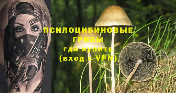 индика Балабаново