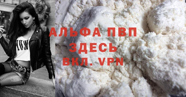 индика Балабаново