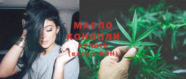 индика Балабаново