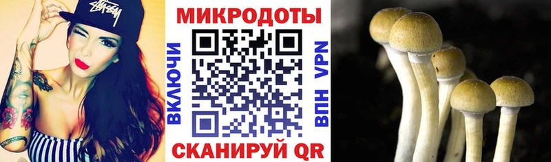 продажа наркотиков  Ессентуки  Галлюциногенные грибы ЛСД 